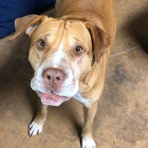 Meet your Posher, Nathan